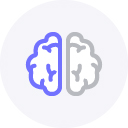 brain brain